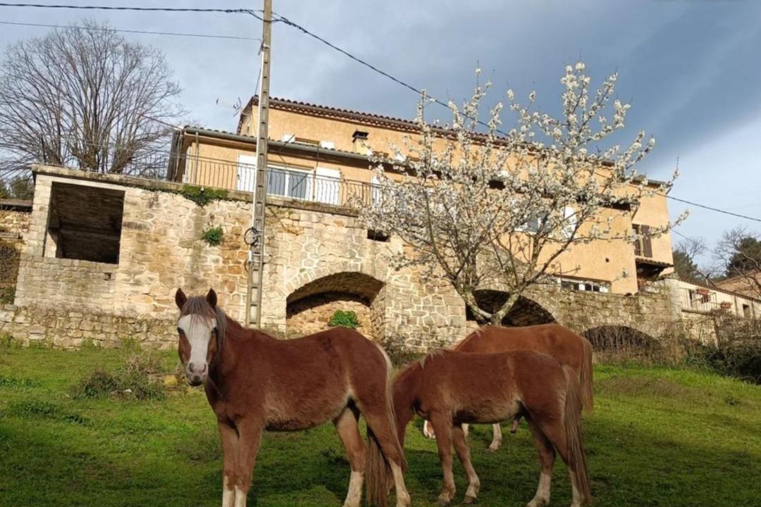Photo of Others in Largentiere