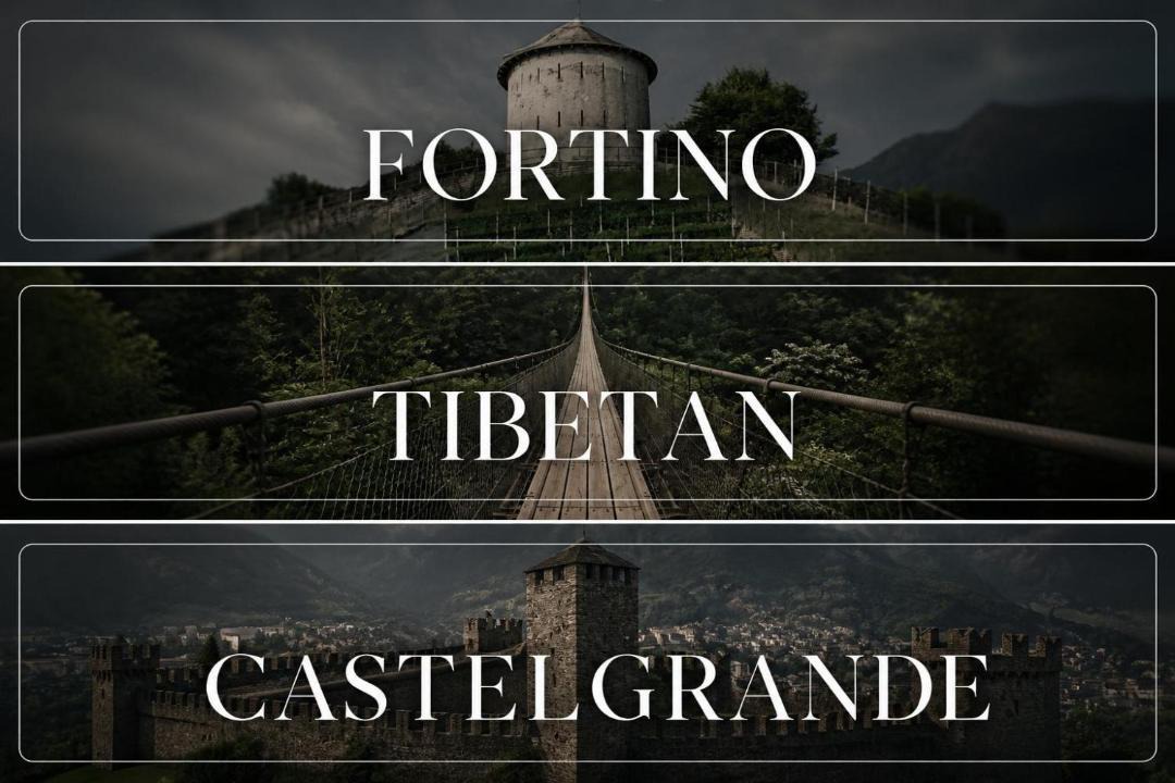 Photo of Others in Monte Carasso