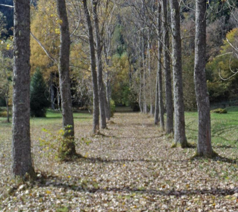 Photo of Others in Murbach