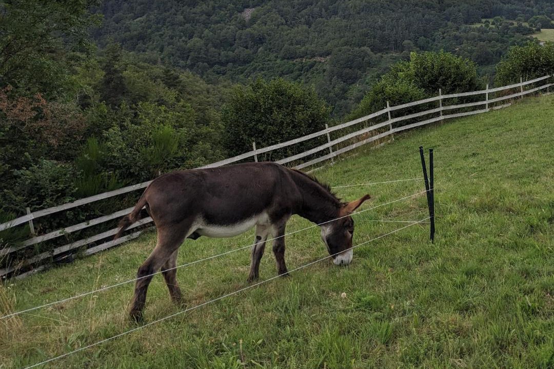 Photo of Others in Lafarre