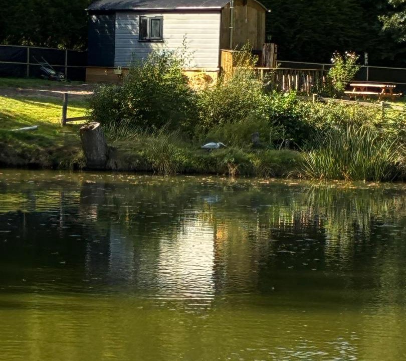Photo of Others in Saint-Mars-sur-la-Futaie