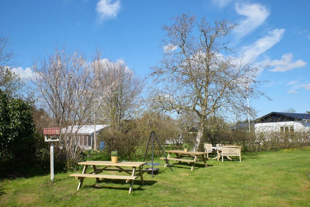 Photo of Others in Lokken