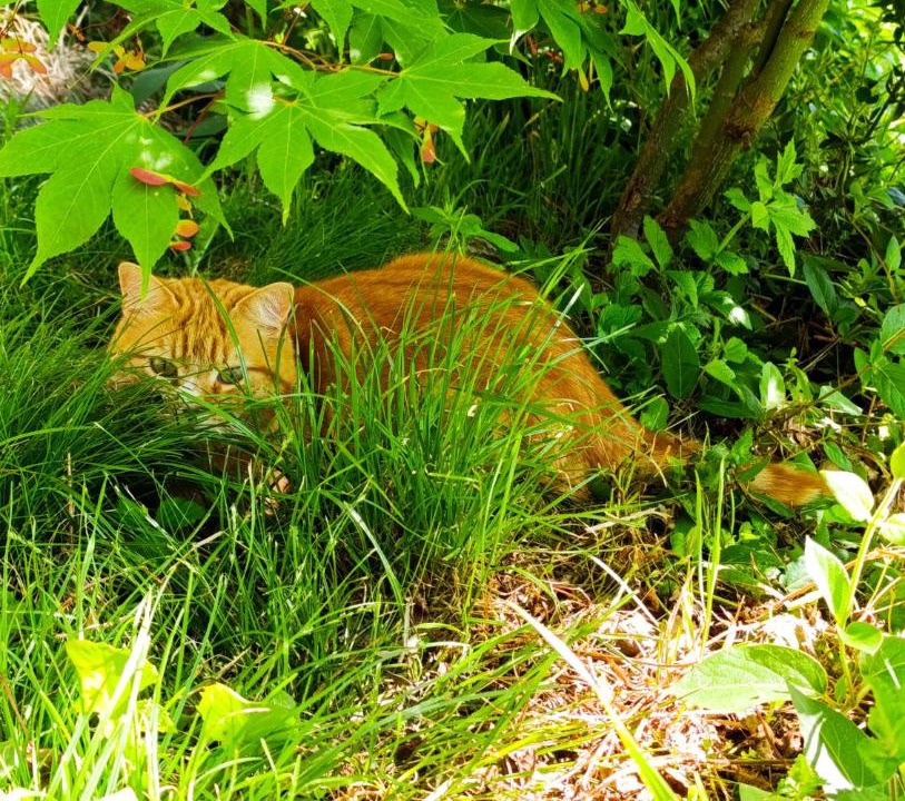 Photo of Outdoor in Pont-de-Labeaume