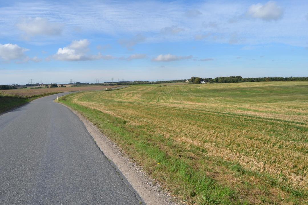 Photo of Others in Lystrup