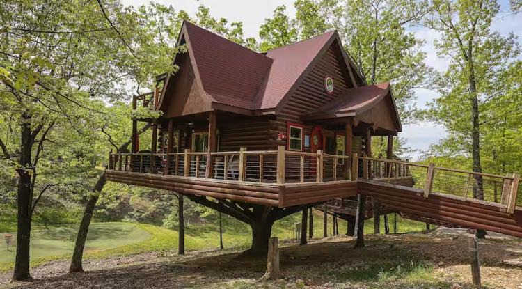 Photo of Others in Branson Cedars