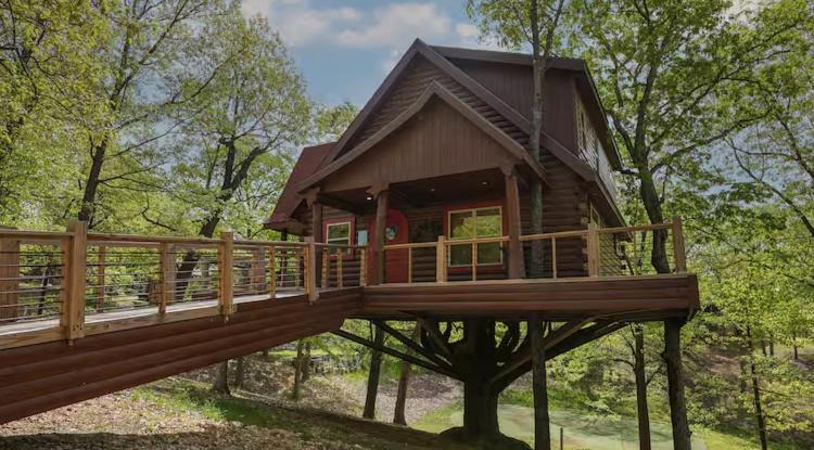 Photo of Others in Branson Cedars