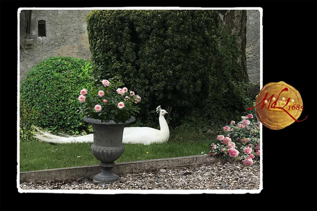 Photo of Others in Saint-Germain-de-Livet