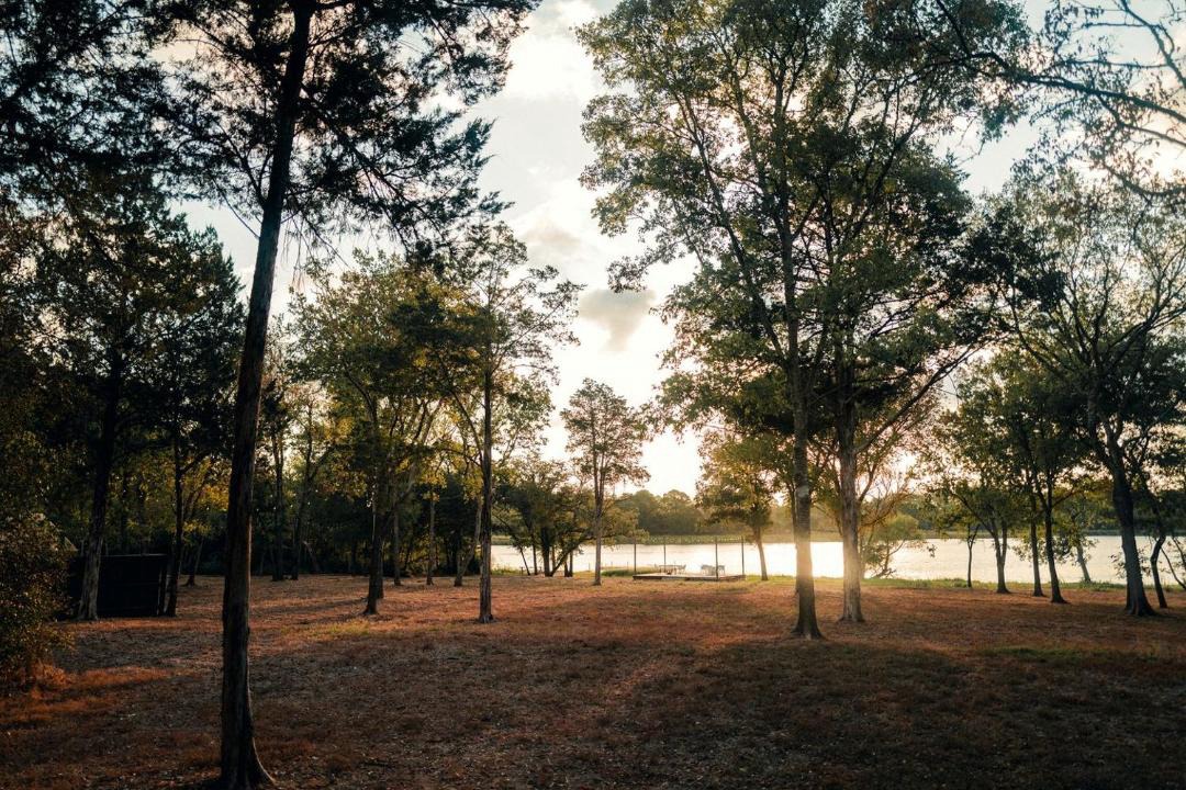 Photo of Others in Bastrop