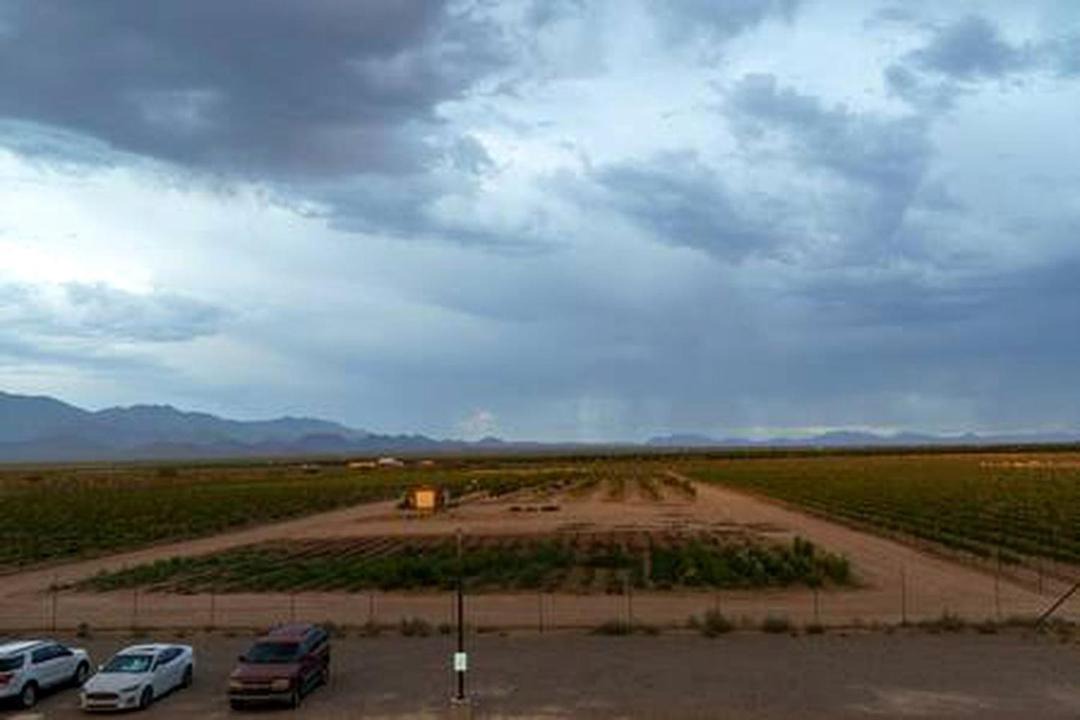 Photo of Others in Willcox