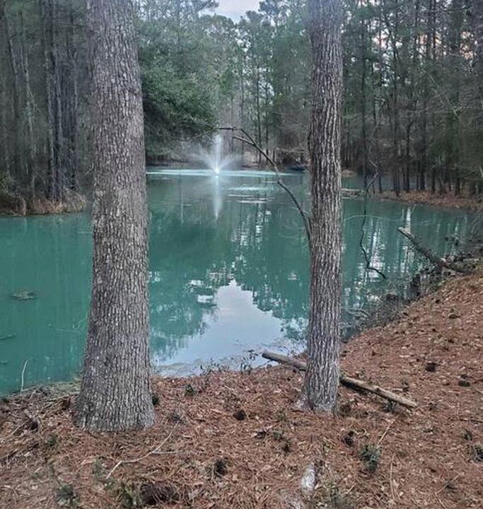 Photo of Others in Waller