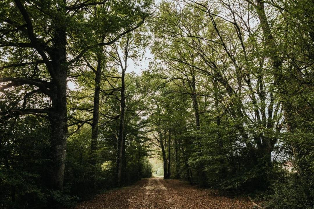 Photo of Others in Saint-Martin-des-Champs