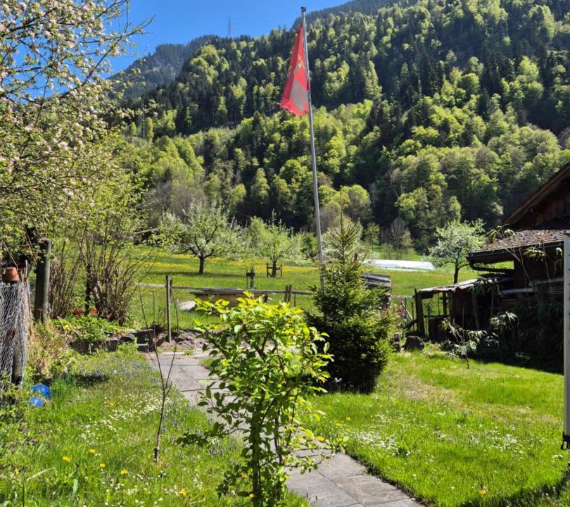 Photo of Outdoor in Luchsingen