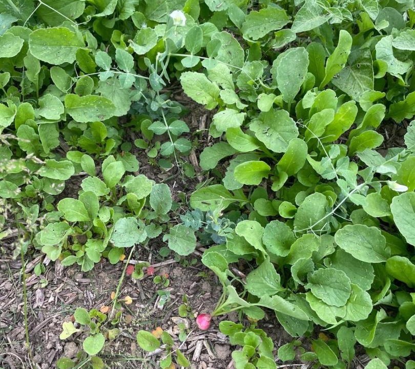 Photo of Outdoor in Le Thuit-Signol