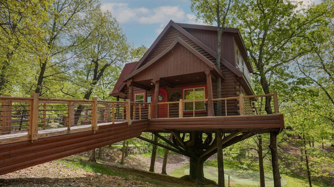 Photo of Others in Branson Cedars