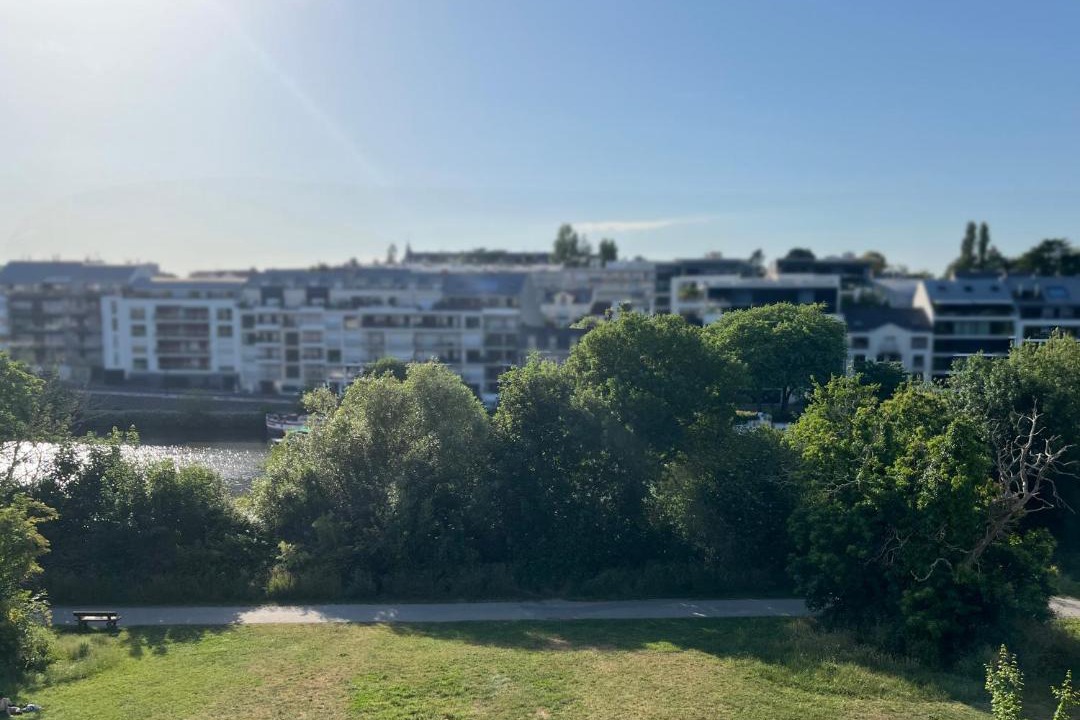 Photo of Others in Saint-Donatien