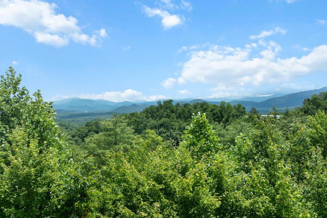 Photo of Others in Townsend