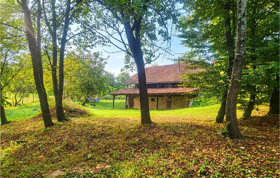 Photo of Others in Vojnic