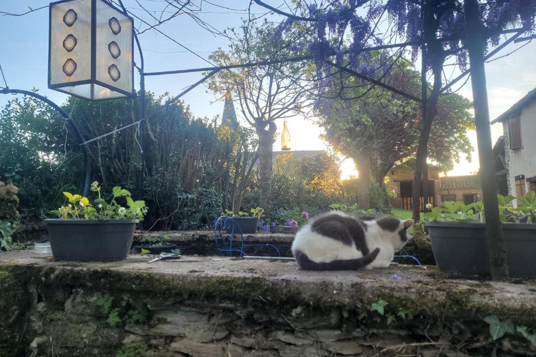 Photo of Others in Pampelonne