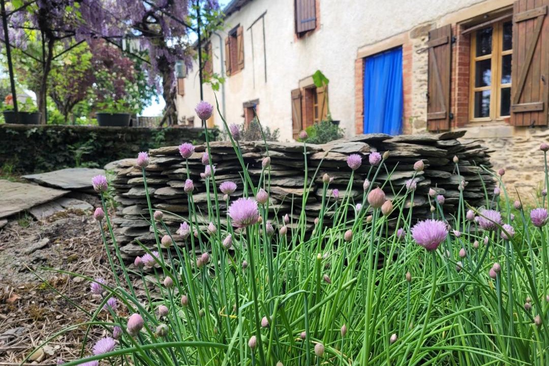 Photo of Others in Pampelonne