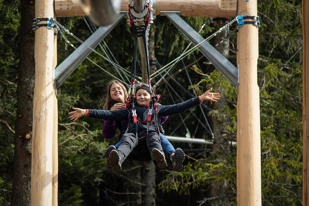 Photo of Others in Emmen