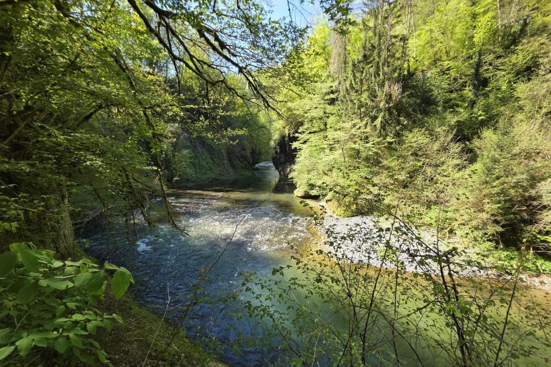 Photo of Others in Alby-sur-Cheran