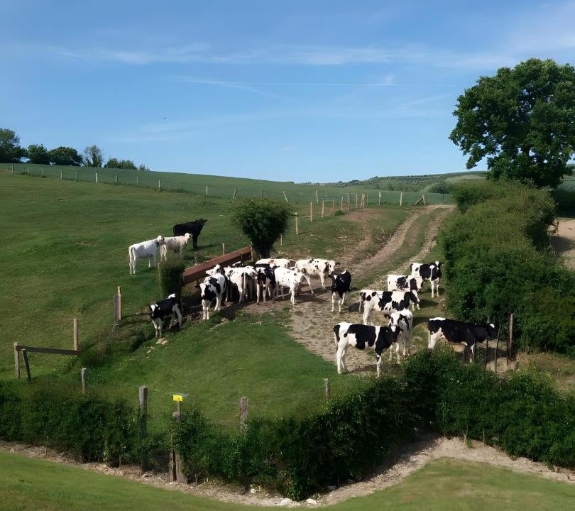Photo of Others in Henneveux