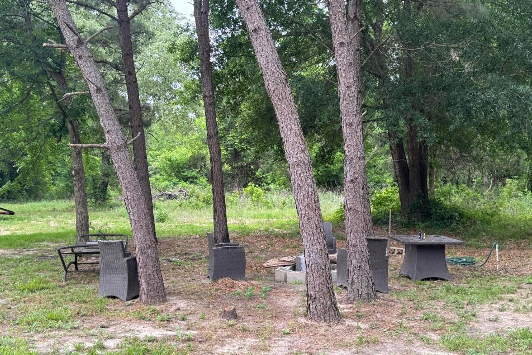 Photo of Others in Tyler