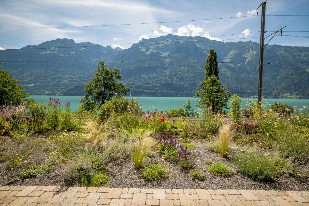 Photo of Others in Niederried bei Interlaken