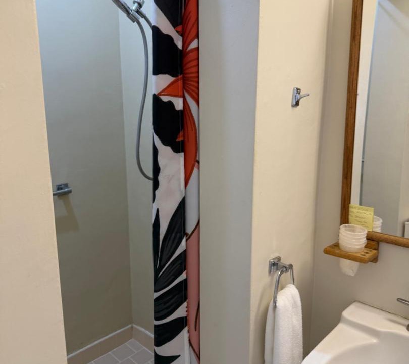 Photo of Bathroom in San Andreas