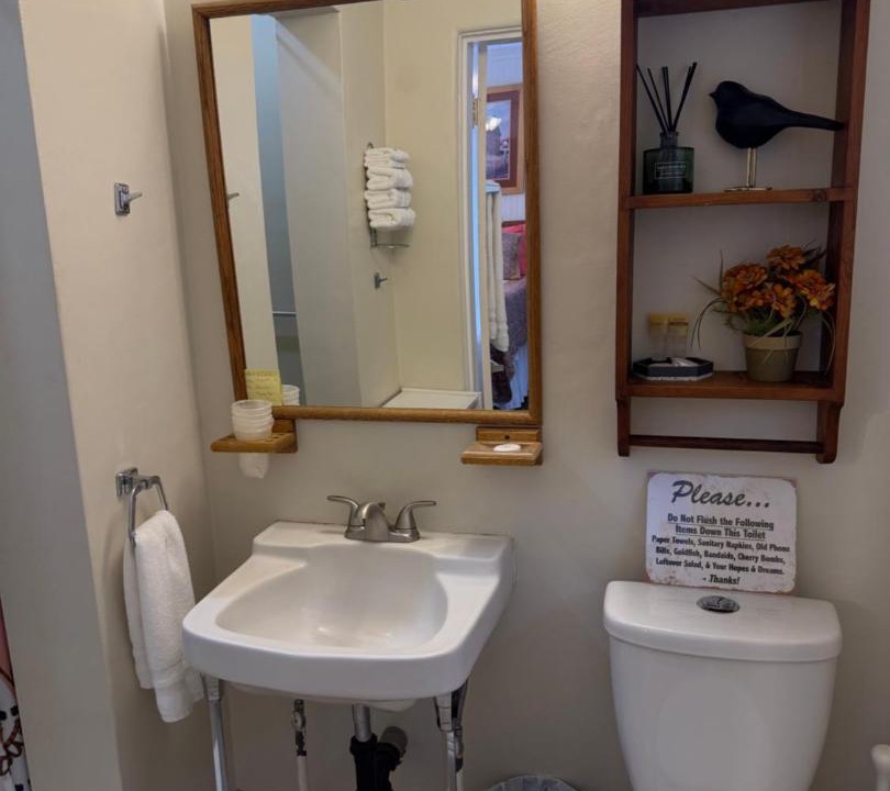 Photo of Bathroom in San Andreas