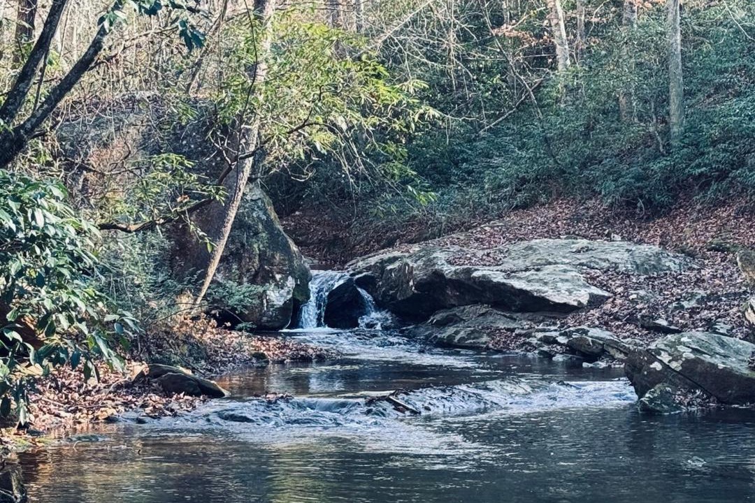 Photo of Others in Boonville