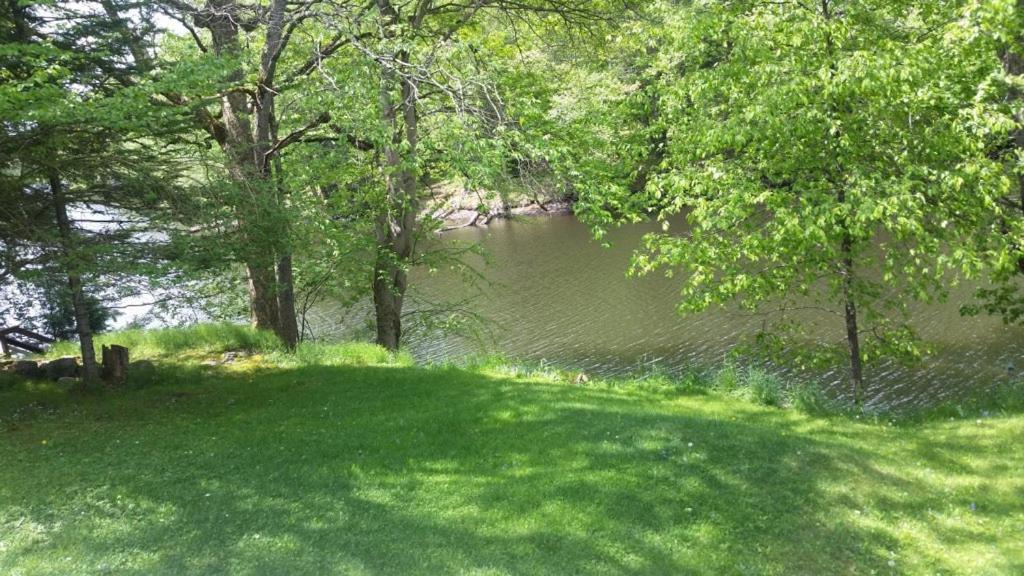 Photo of Others in Town of Webb