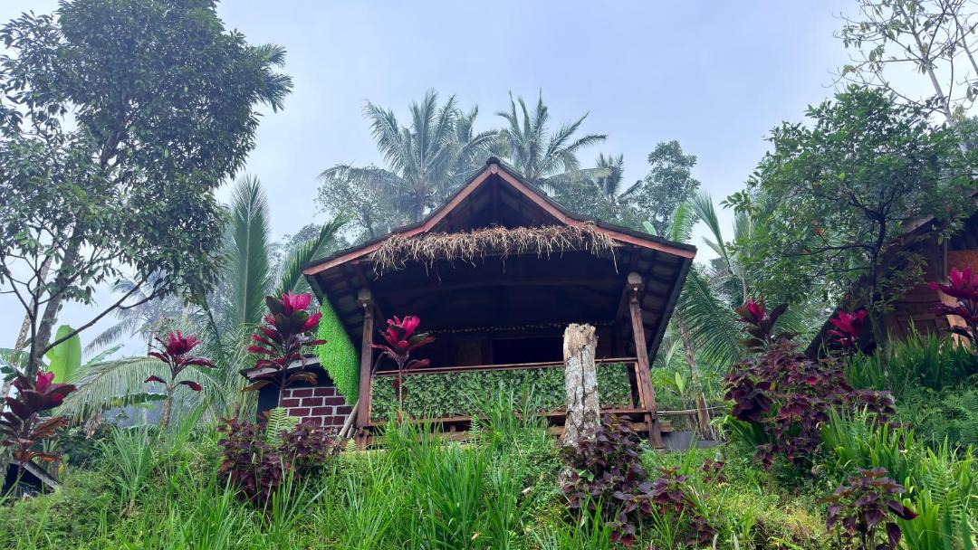 Photo of Others in Tetebatu