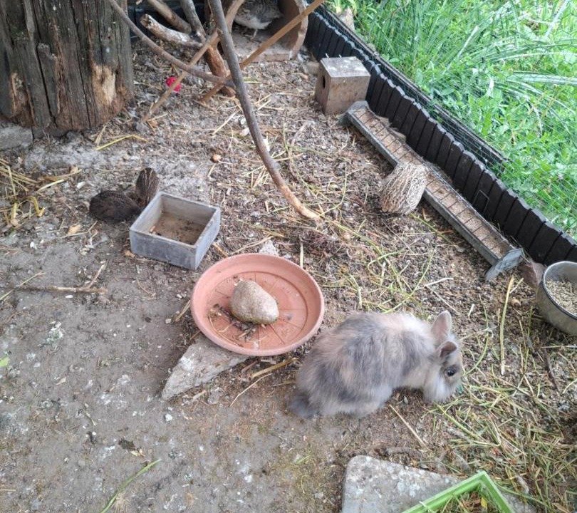Photo of Outdoor in Pommiers