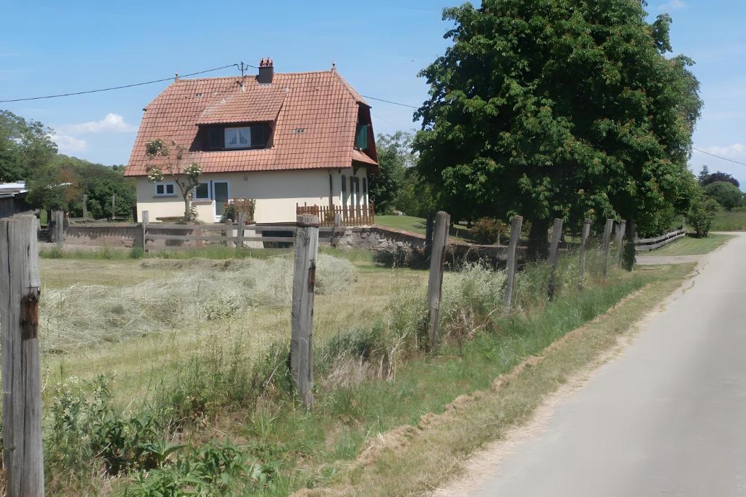 Photo of Others in Schnersheim