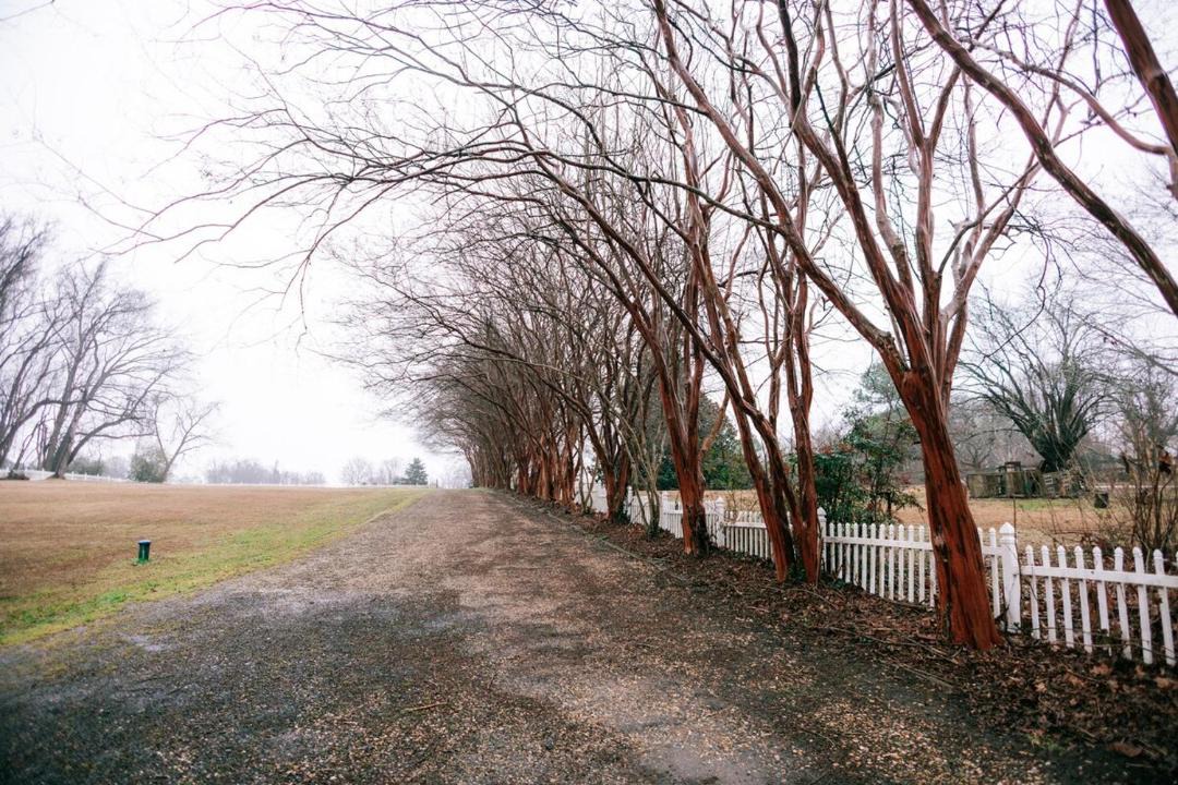 Photo of Others in Fredericksburg