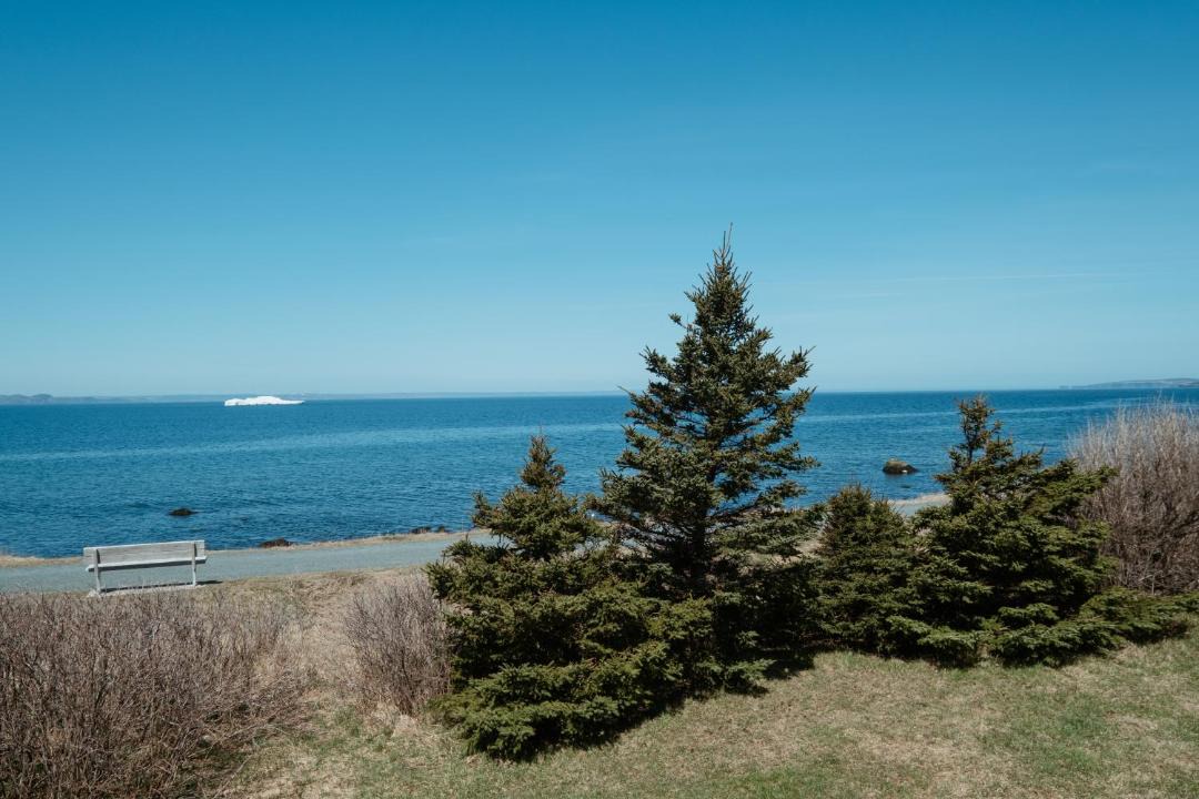 Photo of Others in Conception Bay South