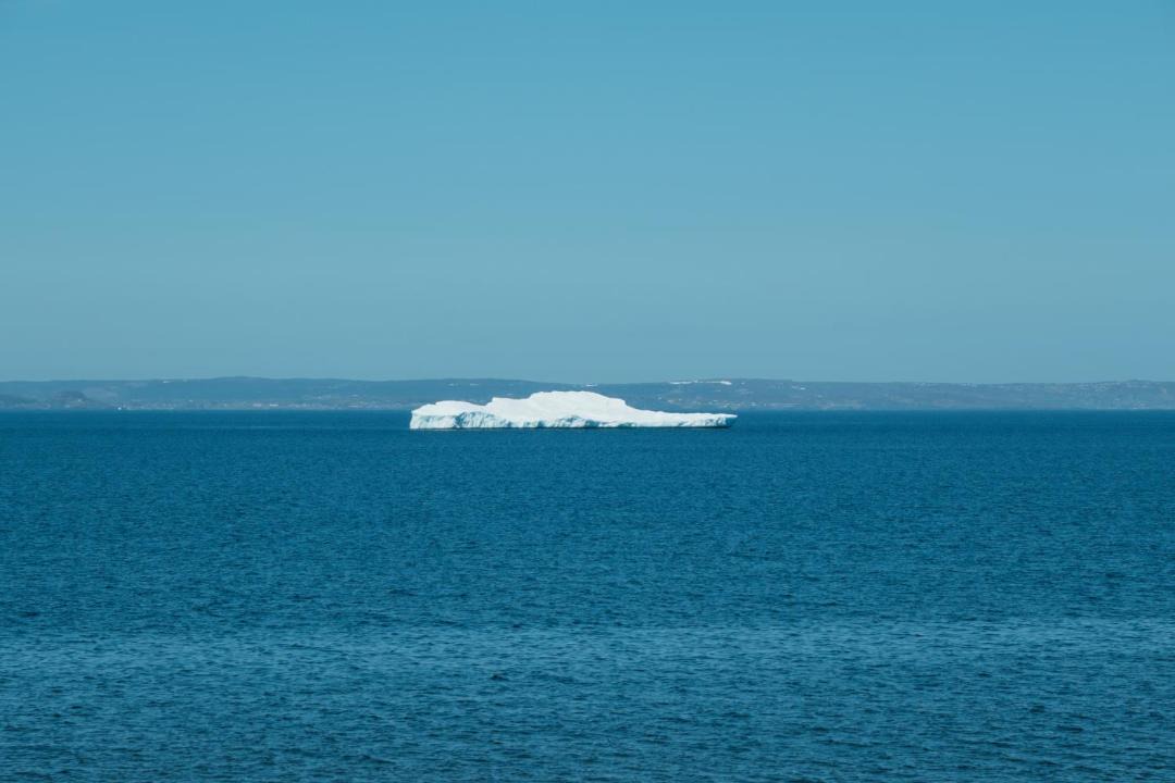 Photo of Others in Conception Bay South