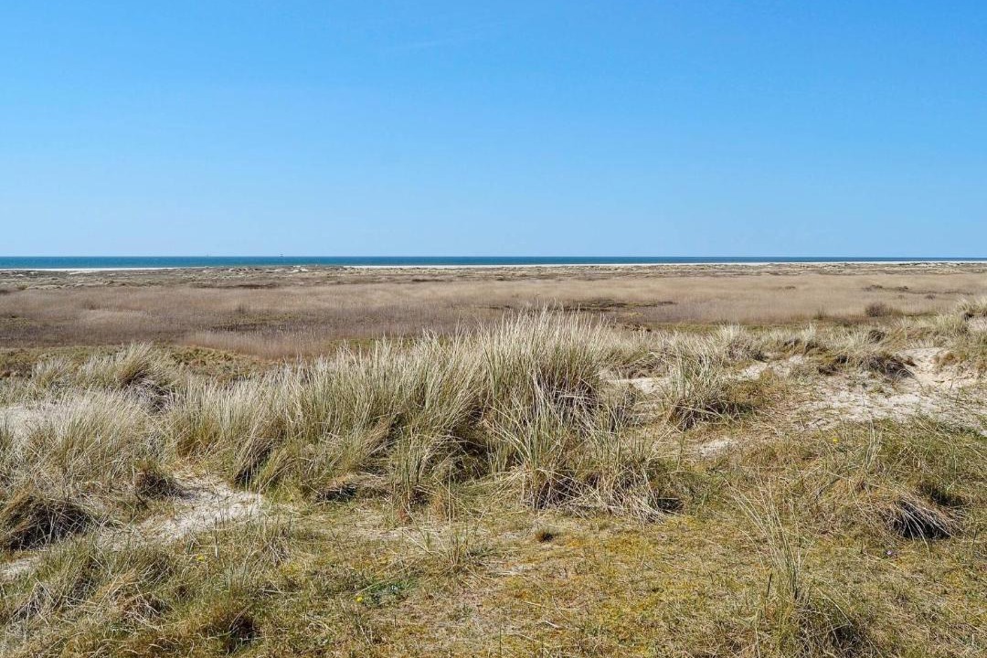 Photo of Others in Rindby Strand