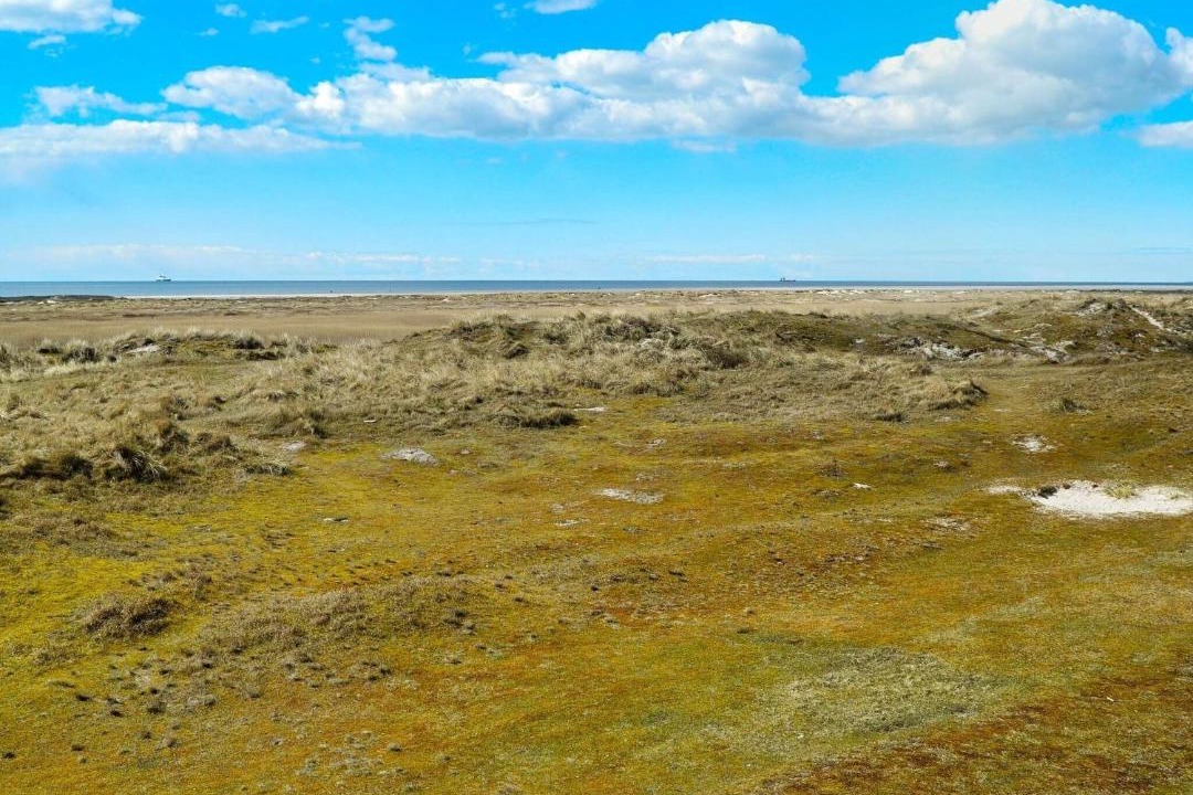 Photo of Others in Rindby Strand