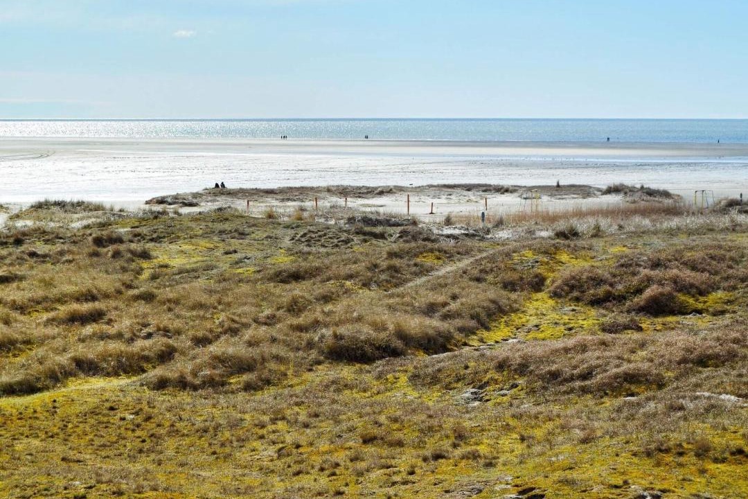 Photo of Others in Rindby Strand