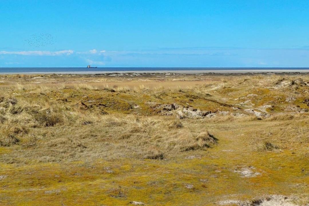 Photo of Others in Rindby Strand