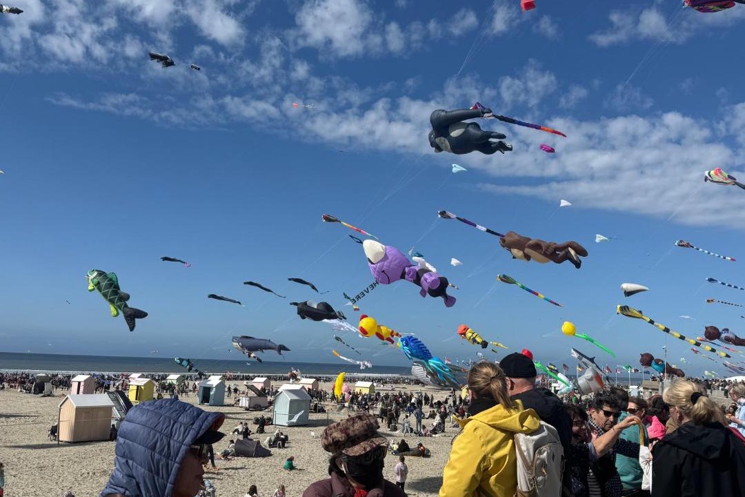 Photo of Others in Berck-sur-Mer