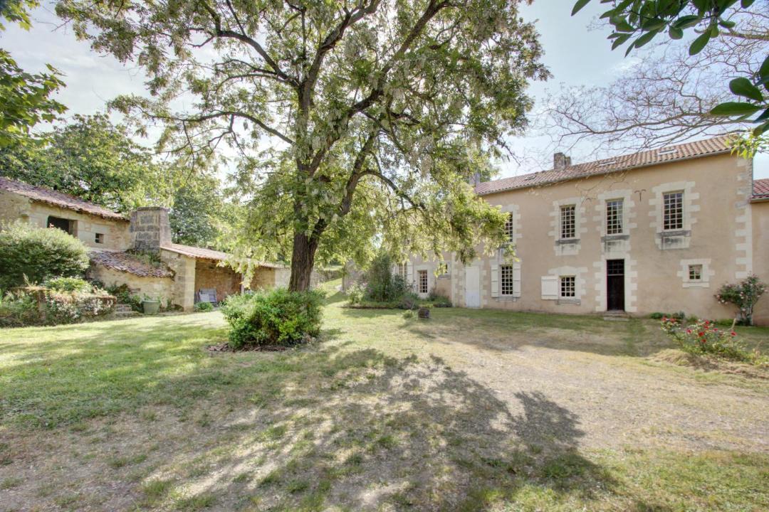 Photo of Others in Les Verchers-sur-Layon
