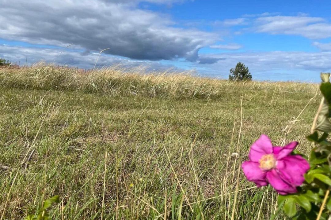 Photo of Outdoor in Fjellerup Strand