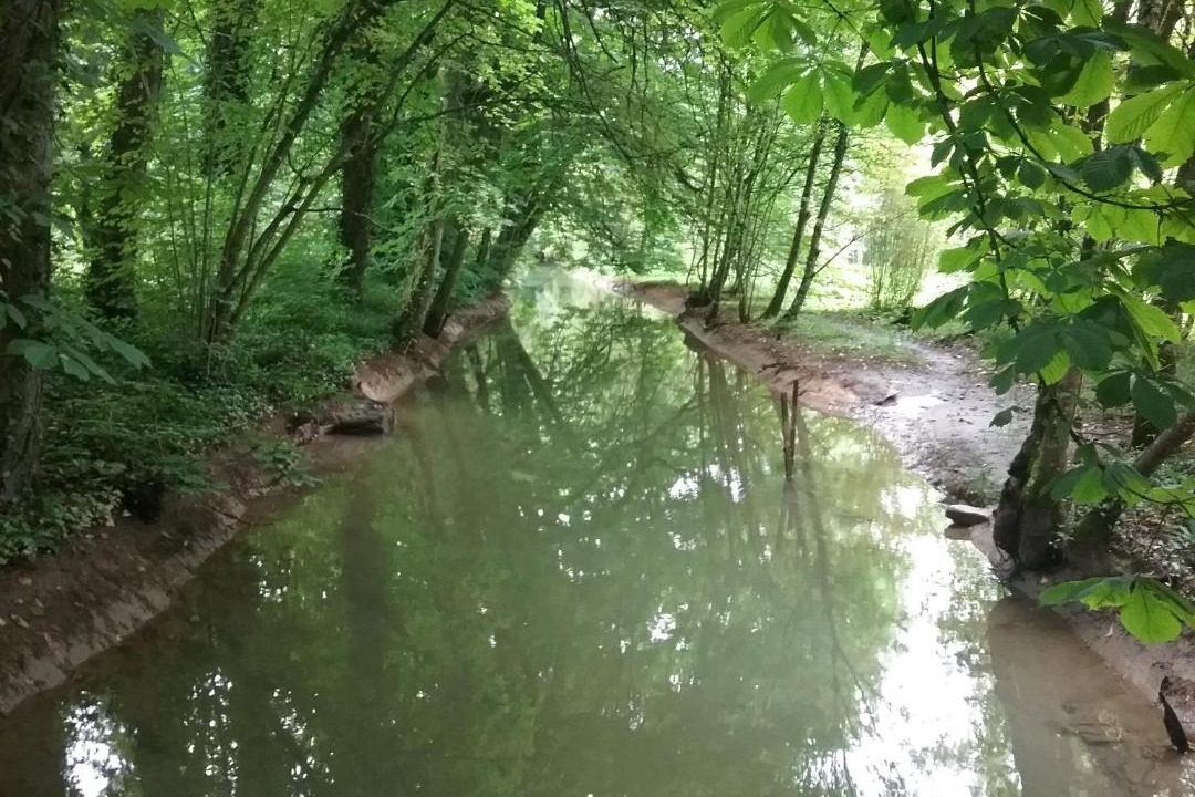 Photo of Others in Nantois