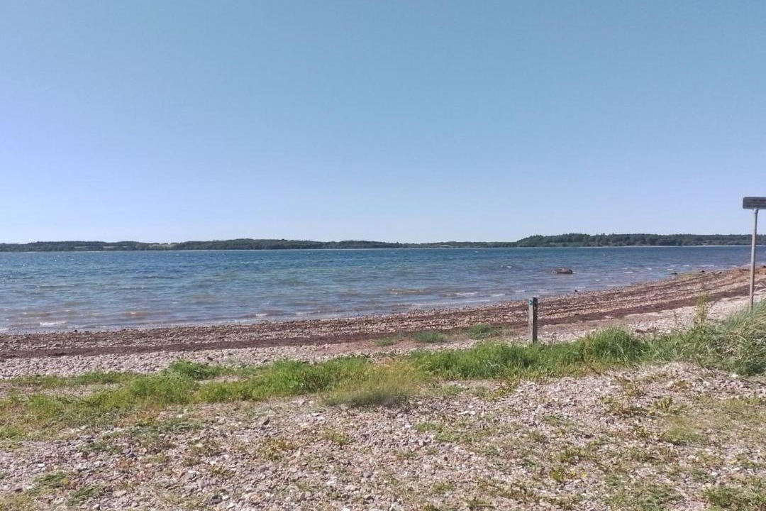 Photo of Others in Ronbjerg