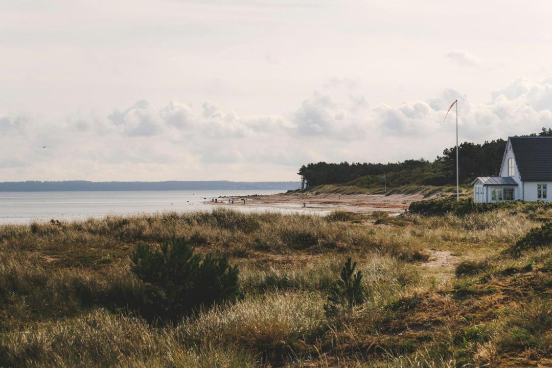 Photo of Others in Hornbaek