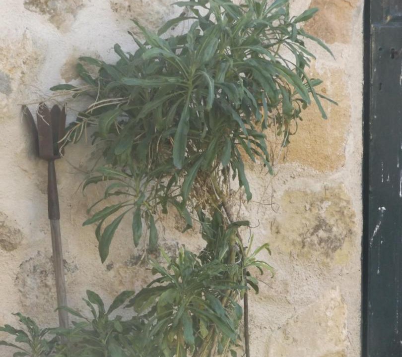 Photo of Others in Turegano