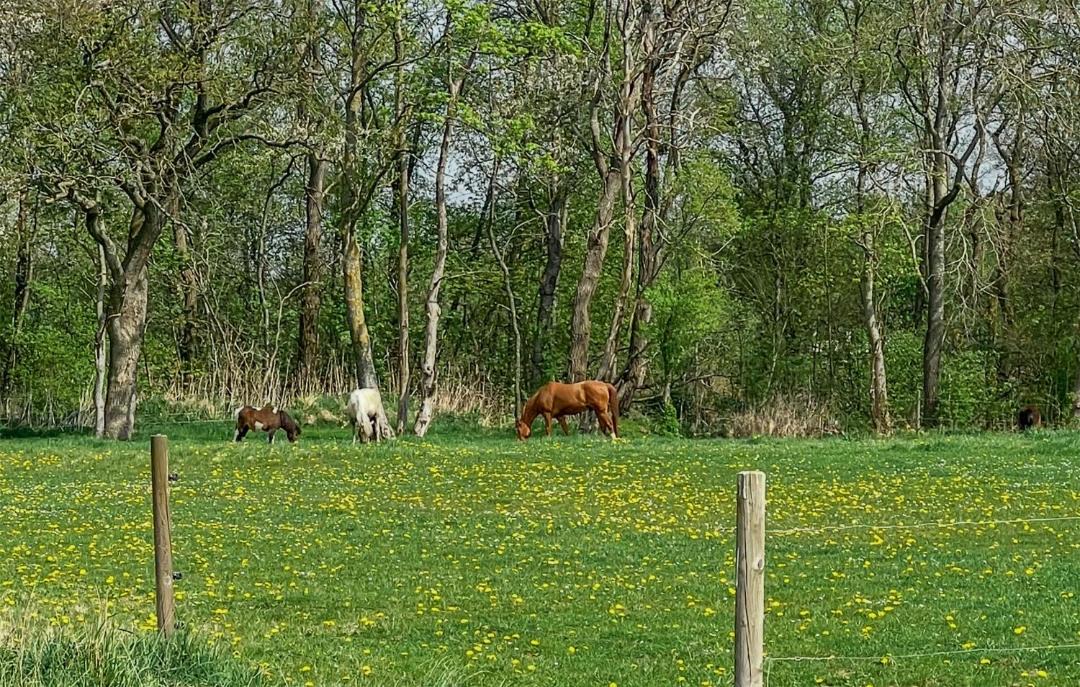Photo of Others in Vejle